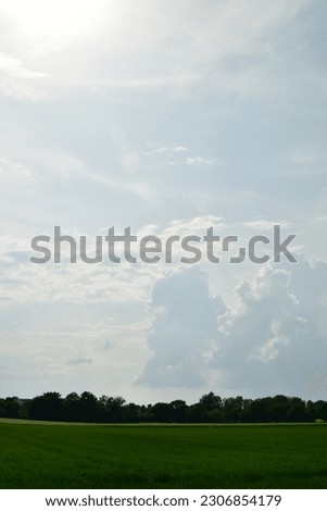 Landscape with clouded sky Field Grass trees Background. High quality photo