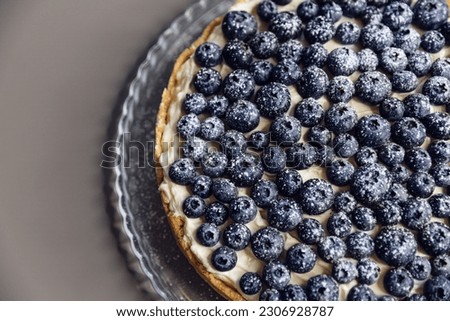 Cheesecake pie with blueberries. Cooking for fun. Desserts, pie on gray table background. Close up