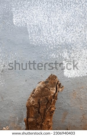 Subtle Beauty in Simplicity: Small Brown Tree Stump Poised Against a Calming Gray Background