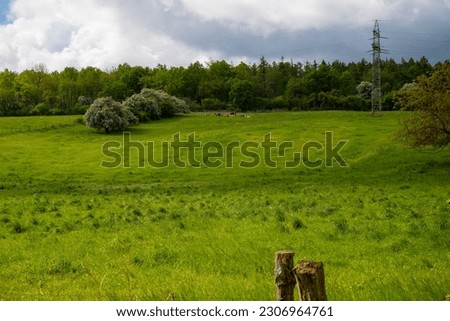 Panoramic view of an animal pasture with fence