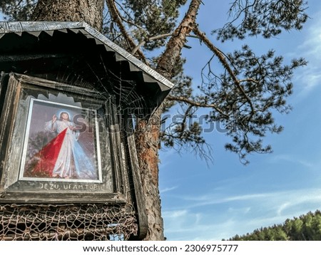 A cobweb on a forest chapel with a picture of Merciful Jesus. Poland