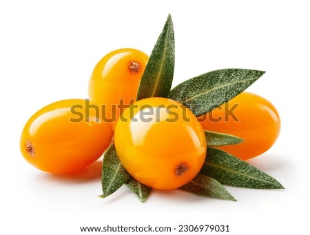 Buckthorn isolated. Sea buckthorn with leaves on white background. Buckthorn berries with clipping path. Full depth of field. Perfect retouched image.  Royalty-Free Stock Photo #2306979031