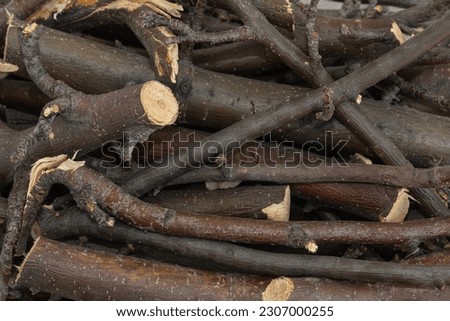 Bundle of dry sticks and branches. Dry brushwood. Firewood. Large pile of sticks twigs of a tree. Royalty-Free Stock Photo #2307000255
