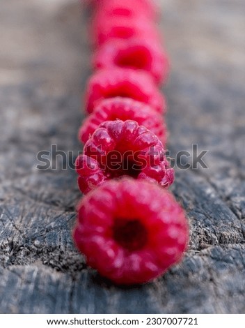 ripe raspberries close-up, red color on the background of an old tree

