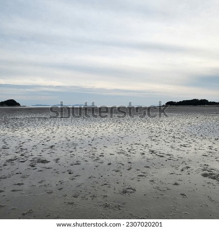 A picture taken in a mud flat under a cloudy sky