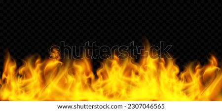 Fire texture mockup. Flame pattern isolated on transparent background. vector template.