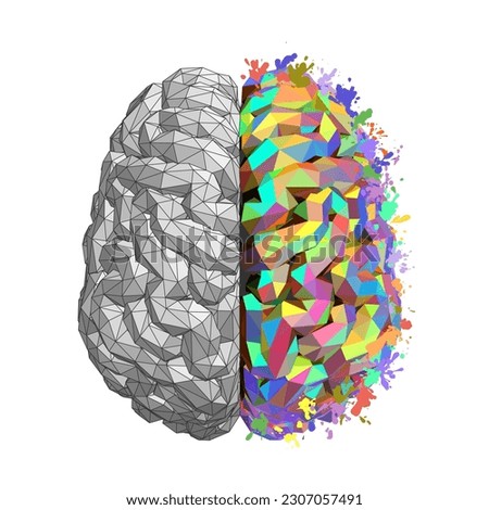 Left and Right Hemisphere of Human Brain Concept, Logical Thought of Left Hemisphere and Imagination of Right One, Vector Illustration Royalty-Free Stock Photo #2307057491