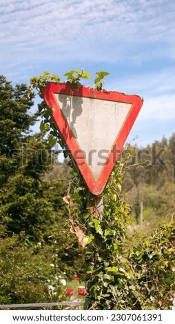 Weathered and covered in plants yield sign