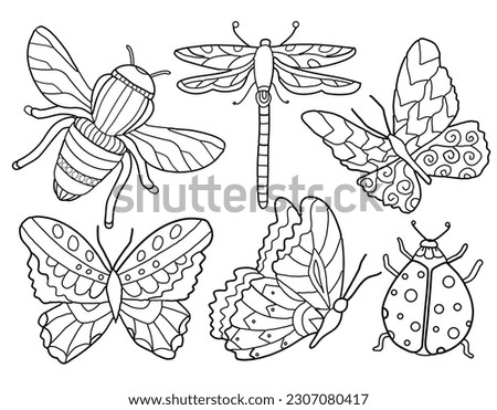 Ornate linear Insect drawings. Butterflies, bee, ladybug, dragonfly. Hand drawing coloring for kids and adults. Beautiful drawings with patterns and small details.  Butterfly illustration. Vector