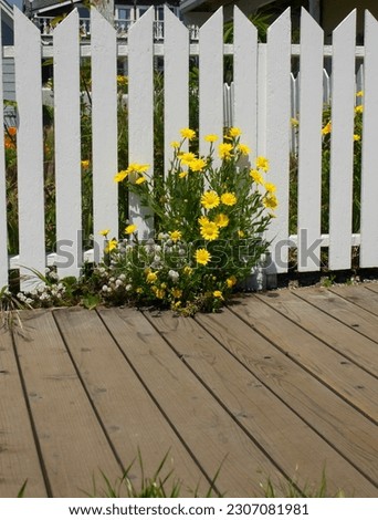 Vintage white picket fence lined with pretty wildflowers