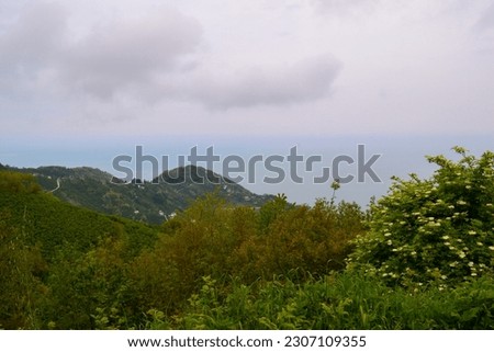 Sea view from the high mountains of the Black Sea. The sea looks like a cloud because the weather is foggy and misty. But at the end of those mountains, the sea begins