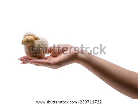Christmas and New Year concept. sheep in the hand on a white background