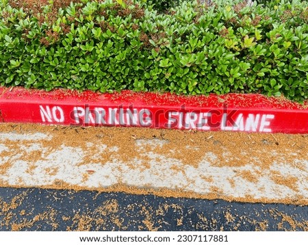 Red curb No parking fire lane with leaves