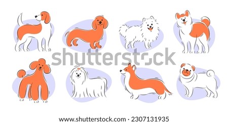 Set of different purebred dogs. Canine animals, diverse big and little cute doggies. Vector illustration.