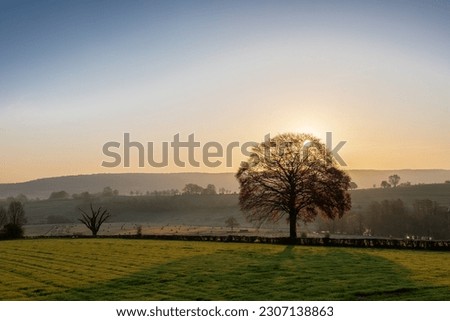 Colourful sunrise on a summer morning with a little fog on the ground and spectacular views over the Dutch hillside 