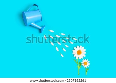 Creative flat lay composition featuring two daisies, a toy watering can and petals arranged to resemble delicate water drops. Royalty-Free Stock Photo #2307162261