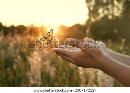 flying butterfly and human hands on abstract sunny natural background. freedom, save wild nature, ecology concept. encounter man and nature. harmony, peaceful atmosphere landscape. copy space