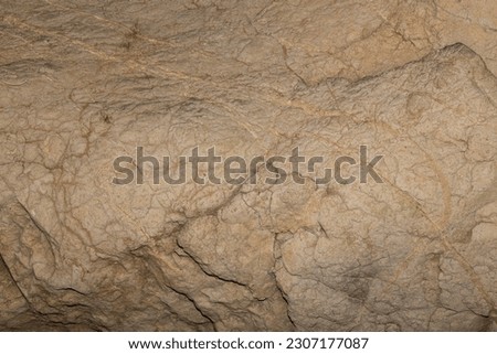 Speleology. Stone background abstract surface. The Bacho Kiro cave, Dryanovo, Bulgaria.