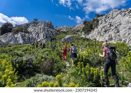 Hiking holidays in Sardinia, Italy: hiking in the karst Supramonte mountains, Monte Albo, Punta Cupeti - a hikers group walkink up Royalty-Free Stock Photo #2307194245