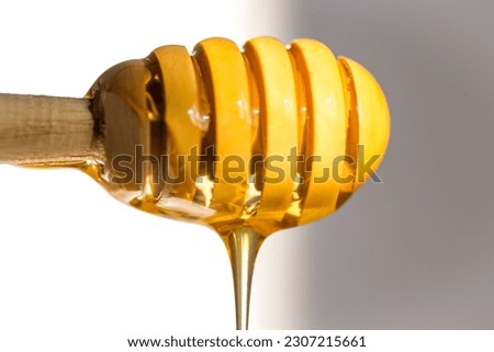 Isolation of honey dripper. Stock photo.