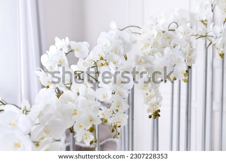 Close up of orchids blossoms. Wedding decoration. Branch of beautiful white orchid on white background. Banner design. White petals of phalaenopsis orchid flower, Selective focus.  Royalty-Free Stock Photo #2307228353