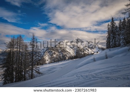 Snowy Trees in Nassfeld Ski Resort in Austria. Beautiful Winter Scenery with Trees Covered by Snow and Blue Sky. January 2022
