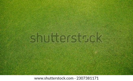 Green grass background, top view background of garden bright grass concept used for making green backdrop, lawn for sports field, golf course lawn green striped texture background  Royalty-Free Stock Photo #2307381171