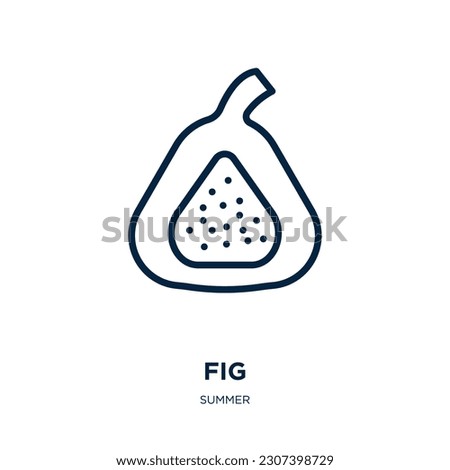 fig icon from summer collection. Thin linear fig, fruit, natural outline icon isolated on white background. Line vector fig sign, symbol for web and mobile Royalty-Free Stock Photo #2307398729