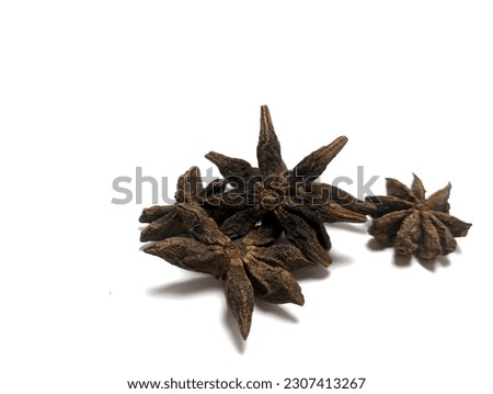 
Star anise or Illicium verum is used as a spice to be a flavor enhancer for food, just like cinnamon bark and clove flowers.