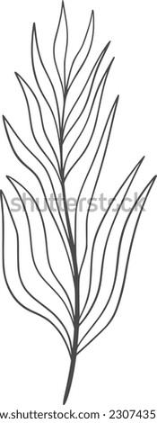 wildplant line art, plant, nature, illustration, isolated, floral, botanical, design, wild, vector, flower, leaf, art, drawing, summer, clip art, graphic, set, natural, botany, collection, green