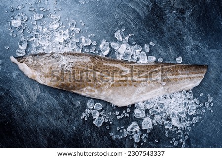 Raw Norwegian skrei cod fish filet with skin offered as top view with ice on a black board with copy space