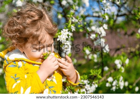 A child in the garden sniffs a blossoming spring tree. Selective focus. Kid. Royalty-Free Stock Photo #2307546143