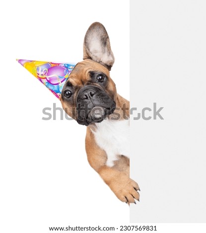French bulldog puppy wearing party cap looks from behind empty white banner. isolated on white background