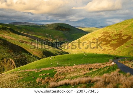 Upper Coquetdale Valley in the Cheviot Hills, as the River Coquet rises on soggy ground in the Cheviot Hills close to the Anglo-Scottish Border in Northumberland National Park Royalty-Free Stock Photo #2307573455