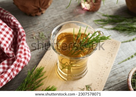 Fresh horsetail twigs in a cup of herbal tea on a table Royalty-Free Stock Photo #2307578071