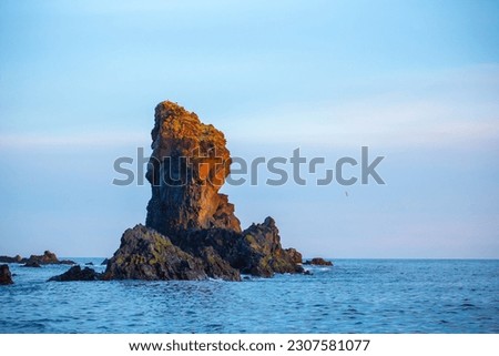 Lonesome rock at the sea in sun light. Royalty-Free Stock Photo #2307581077