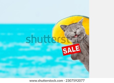 Funny cat wearing summer hat shows signboard with labeled "sale" and looks from behind empty white banner. isolated on white background