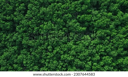 Aerial view of forest,ecosystem and healthy environment. Texture of green tree forest. Royalty-Free Stock Photo #2307644583