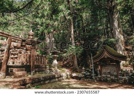 Old heritage  japanese traditional buddhism cemetery