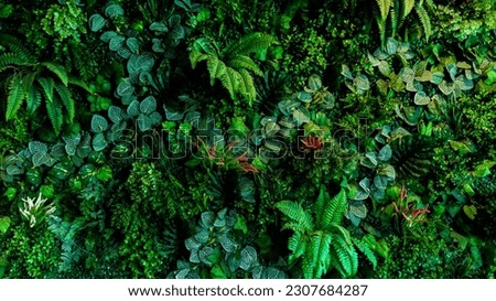 Herb wall, plant wall, natural green wallpaper and background. nature wall. Nature background of green forest Royalty-Free Stock Photo #2307684287