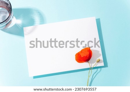 Blank card and red poppy flower on light blue background with hard shadows. Holiday concept, greeting card, invitation, mockup. Top view, flat lay.