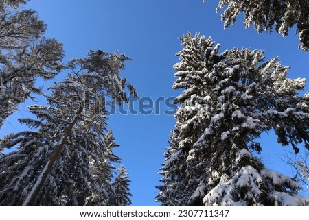 Winter pictures from Finland. Beautiful shades of white and blue.