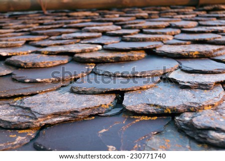 Tiles into roof in rural scene