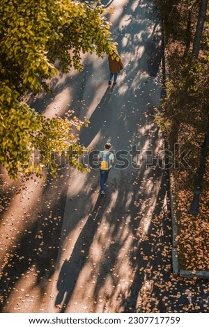 Autumn sunny day, walking people back to us, park alley dotted with fallen leaves, yellow foliage of trees, top view. Color, light and shade of autumn, blurred background