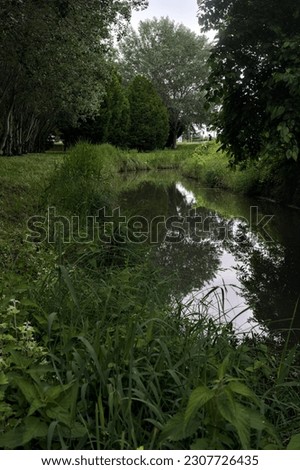Brook  bordered by trees with their reflections casted in the water on a rainy day in a village in the countryside