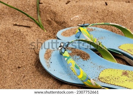 Blue and green flip flops sandals with butterfly clips resting on the sand at the beach. Royalty-Free Stock Photo #2307752661