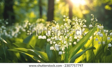 lilies of the valley in the forest at sunset,wild flowers