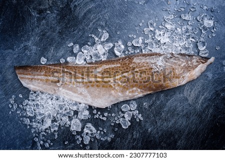 Raw Norwegian skrei cod fish filet with skin offered as top view with ice on a black board with copy space 
