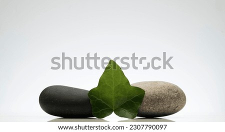 gray and black stones and green leaves on a white background for the product presentation podium.composition of zen stones and green leaves for the background of the podium