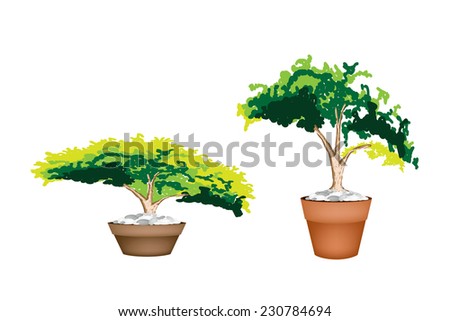 Houseplant, Illustration of Two Beautiful Green Plant in A Ceramic Flowerpot for Garden Decoration 